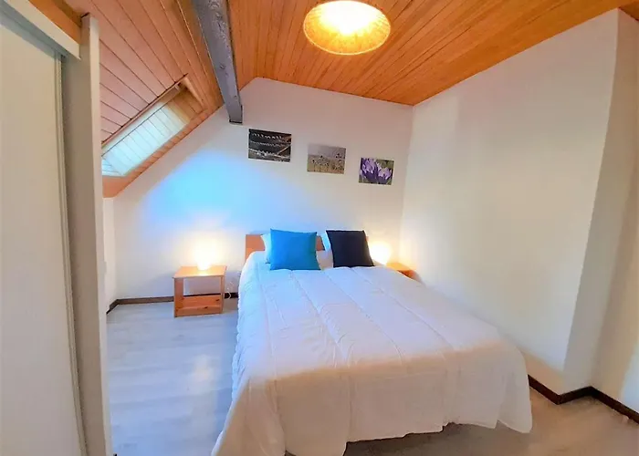 Saint-lary Soulan T4 Lumineux, 6 Couchages, Parking, Proche Pistes, Expose Sud - Fr-1-457-312 アパート *