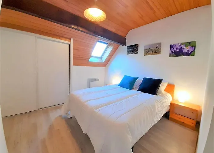 Saint-lary Soulan T4 Lumineux, 6 Couchages, Parking, Proche Pistes, Expose Sud - Fr-1-457-312 アパート Vignec